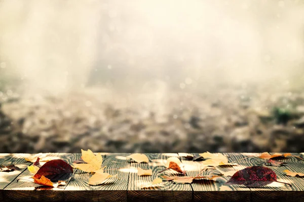Hermosa luz del sol en el bosque de otoño w —  Fotos de Stock