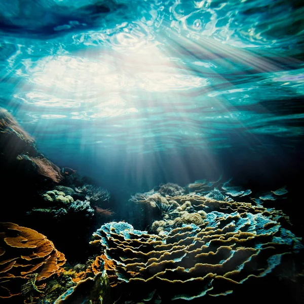 A background sand on the beach underwater — Stock Photo, Image