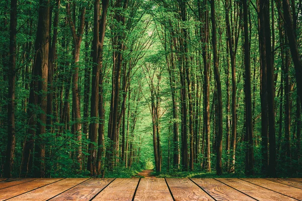 Dřevěné texturované zázemí v interiéru místnosti — Stock fotografie