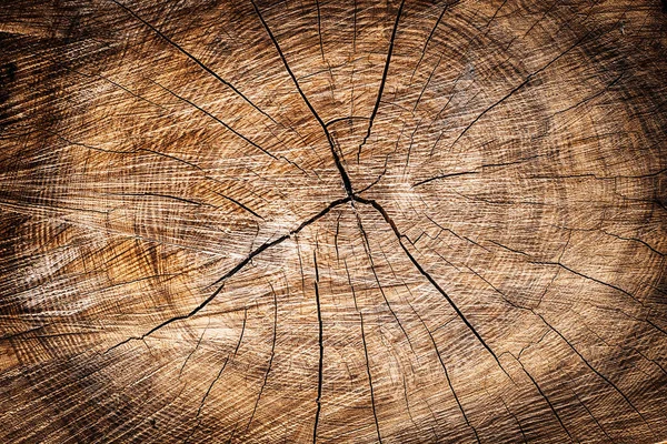 Achtergrond Van Een Houten Stomp — Stockfoto