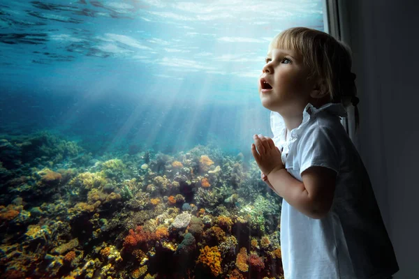 那孩子看着窗外的鱼和水族馆里的珊瑚 — 图库照片