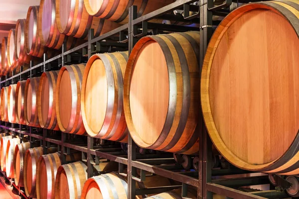 Old Cellar Winery Interior Big Wooden Wine Barrels — Stock Photo, Image