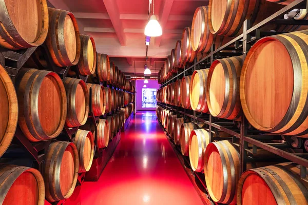 Stare Wnętrza Winery Piwnicy Wielkie Drewniane Beczki Wina — Zdjęcie stockowe