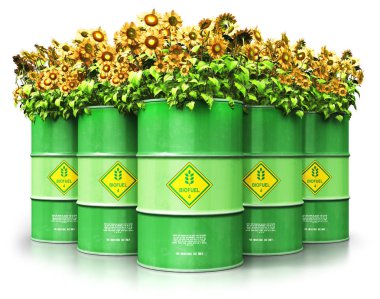 Yaratıcı soyut ekoloji, iş kavramı tasarrufu alternatif sürdürülebilir enerji ve çevre koruma: Grup yeşil metal biyoyakıt davul veya biyodizel varil sarı ayçiçeği çiçekler ile 3d render illüstrasyon izole üzerinde beyaz backg