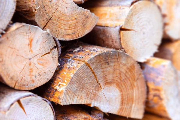 Kreatywne Streszczenie Makro Przemysłowych Widok Cięcia Drewnianych Pni Drewna — Zdjęcie stockowe