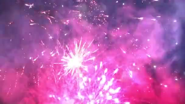 Scenic View Colorful Pyrotechnic Firework Explosions Night Sky — Stock Video