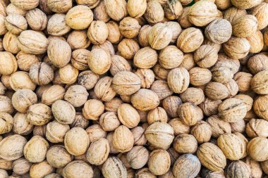 Çerkes ceviz yığını makro görünümü arka plan doku