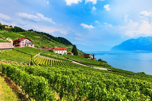 Létě Pohled Vinice Domy Chalupa Horské Vesničce Alpách Poblíž Ženevského — Stock fotografie