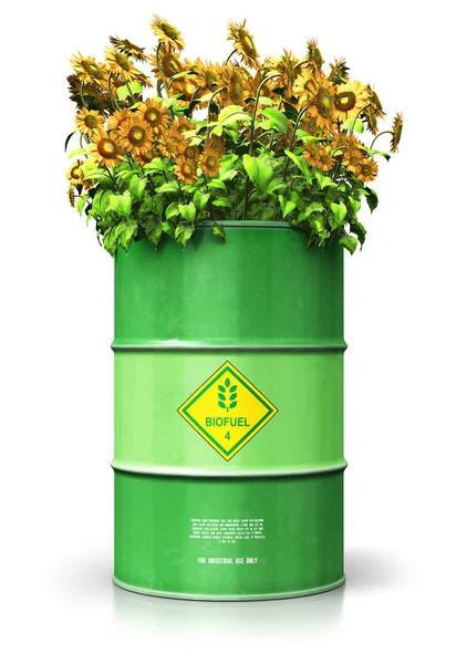 创造性抽象生态学 替代可持续能源与环境保护节约经营理念 绿色金属生物燃料桶或生物柴油桶的插图在白色背景下与反射分离的黄色向日葵花 — 图库照片