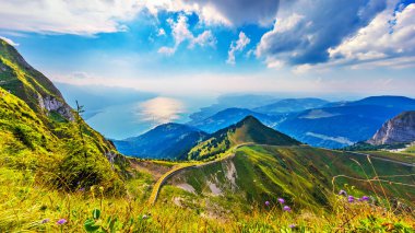 Doğal yaz panorama Rochers de Naye dağ tepe yeşil çimenli hills, çiçek çayır ve Cenevre Gölü, İsviçre Alpleri'nde ile gelen