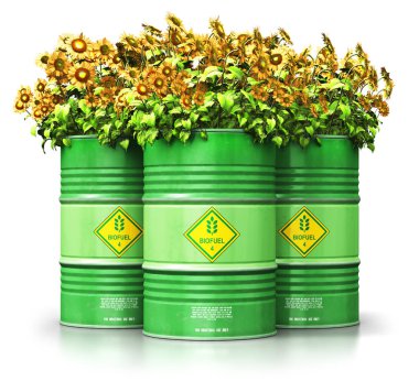 Yaratıcı soyut ekoloji, iş kavramı tasarrufu alternatif sürdürülebilir enerji ve çevre koruma: Grup yeşil metal biyoyakıt davul veya biyodizel varil sarı ayçiçeği çiçekler ile 3d render illüstrasyon izole üzerinde beyaz backg
