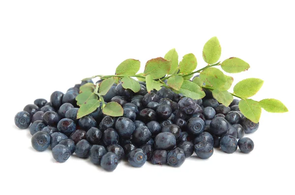 Streuung Von Heidelbeeren Auf Weißem Hintergrund — Stockfoto