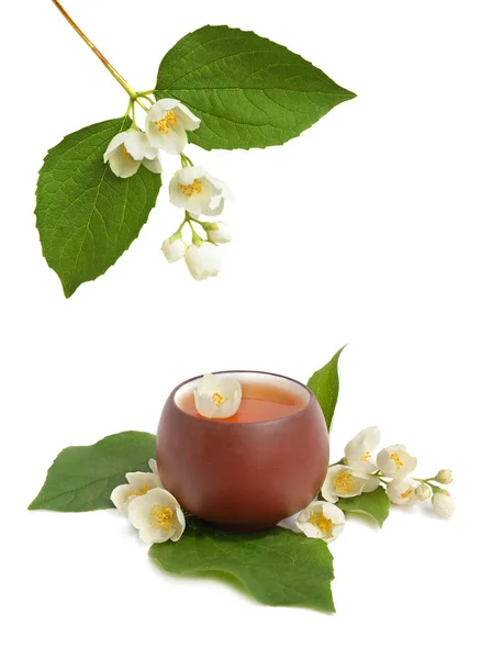 Chá Jasmim Verde Com Flores Frescas Jasmim — Fotografia de Stock