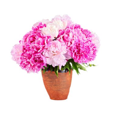 Beyaz arka plan üzerinde izole bir vintage kil sürahi peonies pembe buket
