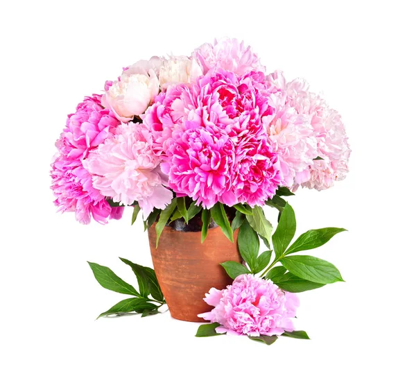 Bellezza Bouquet Peonie Rosa Una Brocca Argilla Vintage Isolato Sfondo — Foto Stock