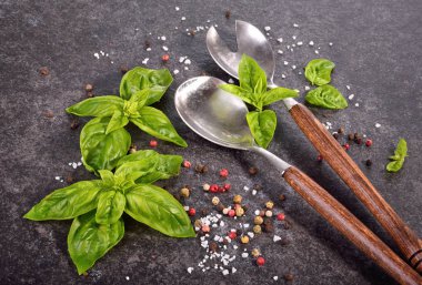 Vintage kaşık seti