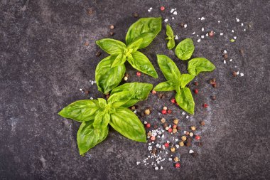 Yemek pişirmek için ayarlanmış alanlar