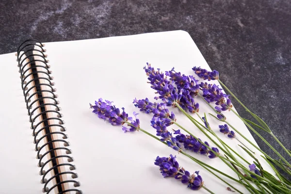 Boş not defteri ve lavanta çiçeğinin üst görünümü