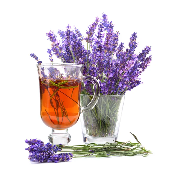 Healthy lavender tea — Stock Photo, Image