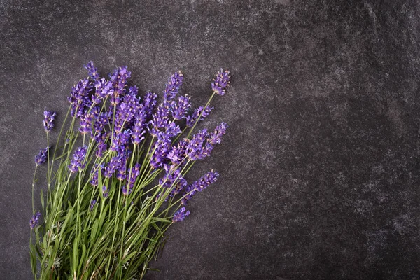 Flores frescas de lavanda — Fotografia de Stock