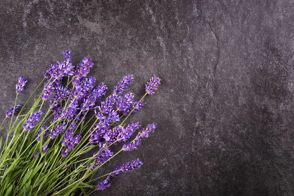 Ovanifrån av färska lavendel blommor — Stockfoto