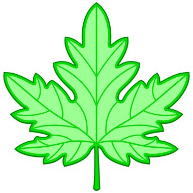 Yeşil akçaağaç yaprağı çizimi