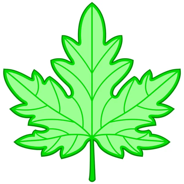 Afbeelding Van Groene Maple Leaf — Stockvector