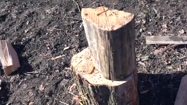 Short scene with splitting of firewood — Stock Video