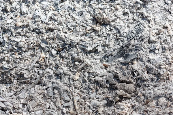 Kül yüzeyinin arka plan