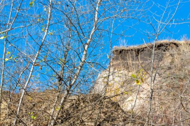 Gökyüzünün arka planı dalları