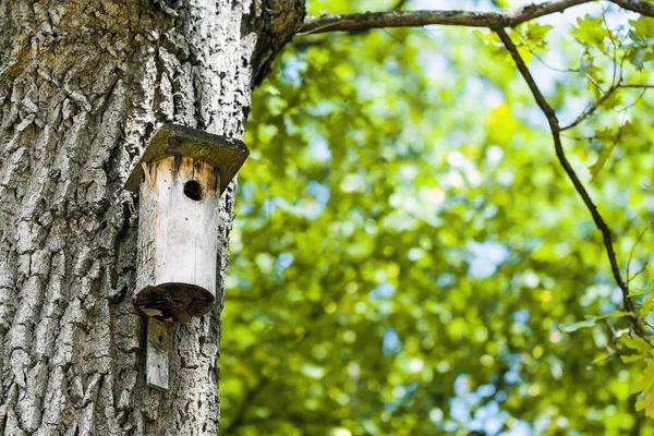 Ağaç Gövdesi Üzerinde Kuş Evi Ile Manzara — Stok fotoğraf