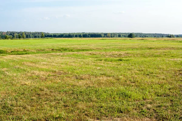 Summer Landscape Wild Grassland Fiel — Stock Photo, Image