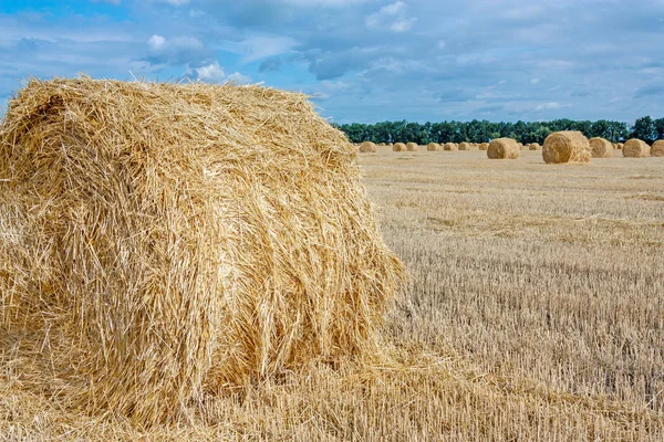 Landscape Harvesting Straw Bales — Stock Photo, Image