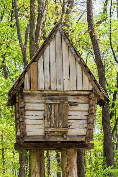 Bos houten hut — Stockfoto
