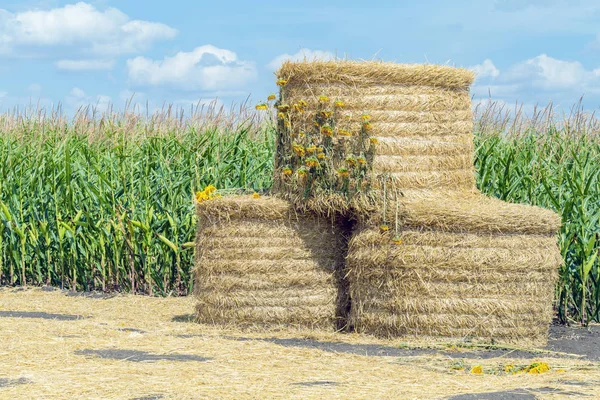 Harvesting straw bales — Stock Photo, Image