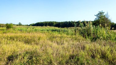 Kırsal doğa manzarası