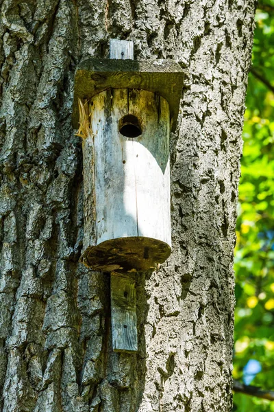 Vogel huis close-up — Stockfoto