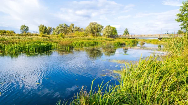 Paisaje del río de la campiña —  Fotos de Stock