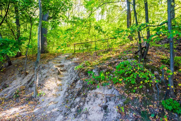 Landschap met aarden treden — Stockfoto