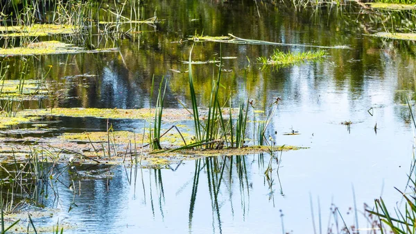 Superficie dell'acqua del fiume — Foto Stock