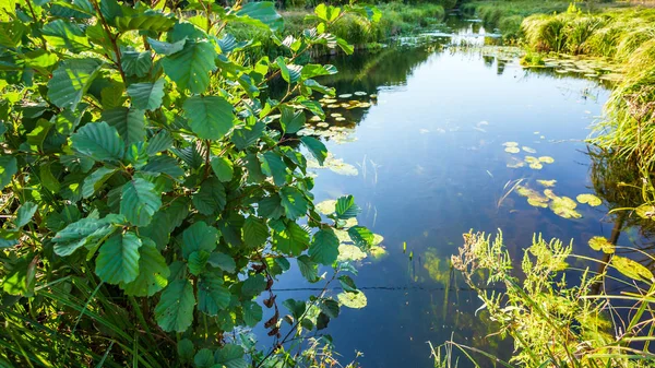 Small lake landscape — Stock Photo, Image