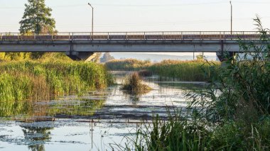 Köprüsü ve küçük nehri olan doğa manzarası