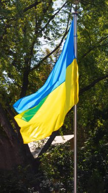 Arkadaki ağaçlarda Ukrayna bayrağıyla manzara