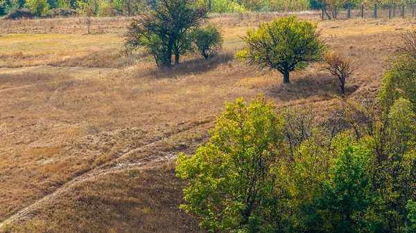 Podzimní Krajina Přírody Stromy Silnicemi — Stock fotografie