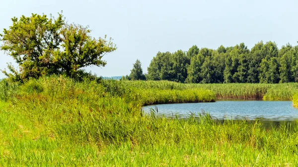 带小湖的农村自然景观 — 图库照片