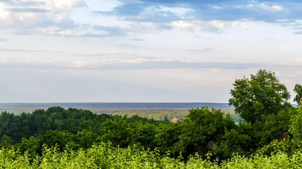 Venkovská Příroda Krajina Rostlinami Oblohou — Stock fotografie