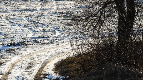 Natur Winterlandschaft Mit Feldweg Und Baum — Stockfoto