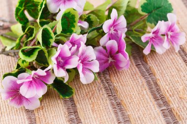 Bambu zemin, portre resim üzerine pembe kumaş çiçekler.