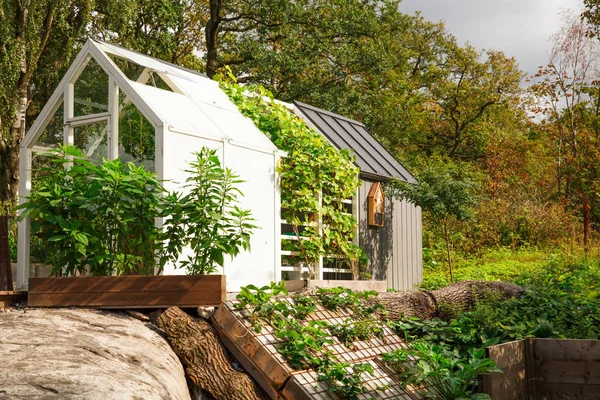 Плантаційний Будинок Овочами Сонячний Літній День — стокове фото