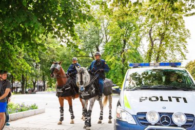 Oslo, Norveç-Ağustos 13, 2014 - Norveç Parlamentosu Binası ve gösteri sırasında bir protesto, Stortinget atlı polis.